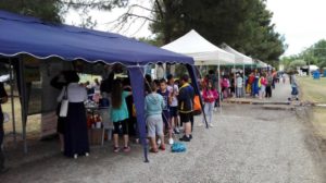 eco festival 2